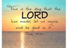 Passive Income Daily: Money That Works for You