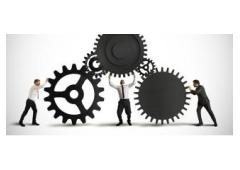 The Prompt & The Pen: A Writer's Guide to Your AI Co-Pilot